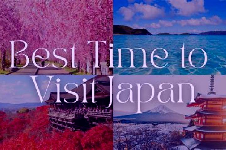 Abigail, 35 — Escort in Rikuzentakata, Japan