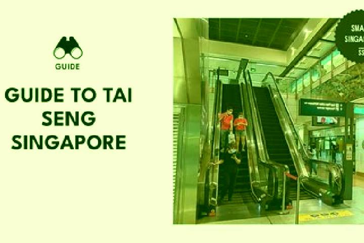 Abigail, 35 — Escort in Tai Seng, Singapore