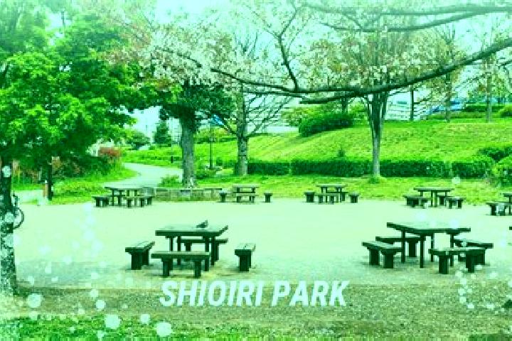 Abigail, 36 — Escort in Shioiri, Japan
