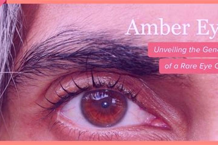 Abigail, 37, a black amber-eyed european companion based in Tormos. Offering Tantra, 69. Available for incall and outcall, day and evening dates.
