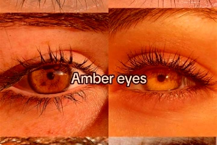 Abigail, 37, a brunette amber-eyed ebony companion based in Biyikli. Offering GFE, Prostate Massage, Overnight. Available for incall and outcall, overnight b...