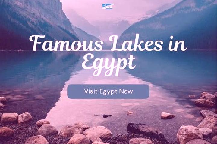 Abigail, 37 — Escort in Al- Ubur, Egypt