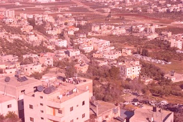 Abigail, 37 — Escort in Kafr Qallil, Palestine