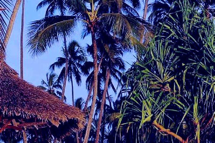 Abigail, 37 — Escort in Mazinde, Tanzania
