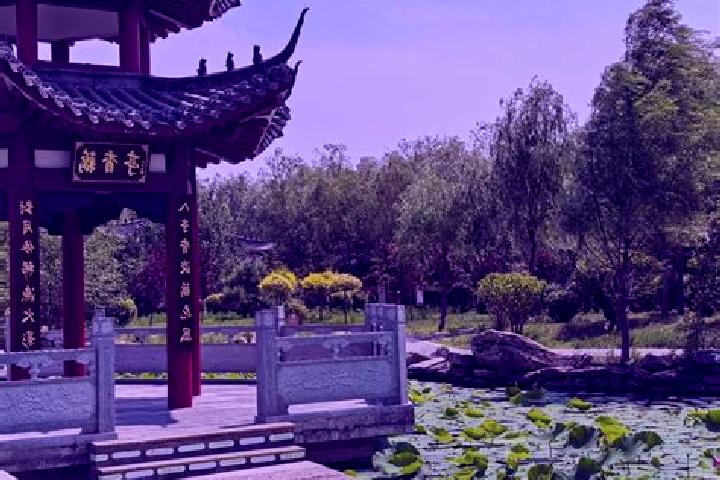 Abigail, 37 — Escort in Nenjiang, China