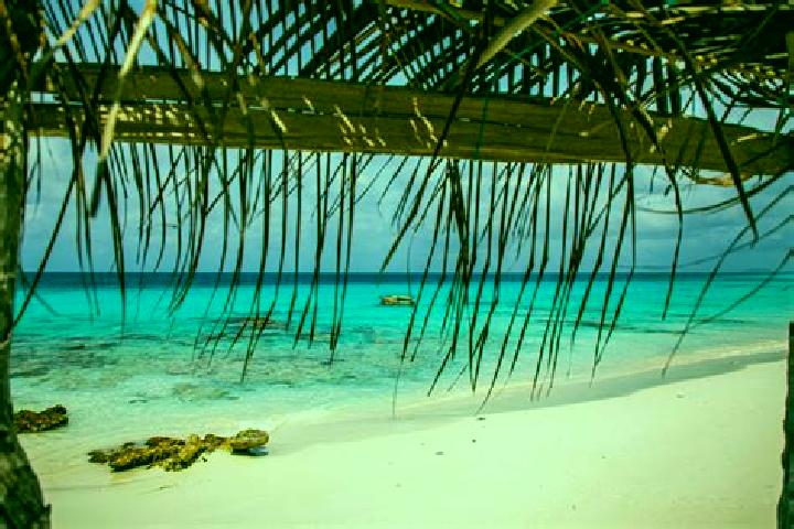 Abigail, 37 — Escort in Oranjestad, Bonaire