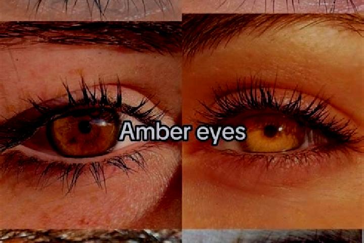 Abigail, 38, a brunette amber-eyed middle eastern companion based in Pineland. Offering GFE, BDSM, OWO. Available for incall and outcall, overnight bookings ...