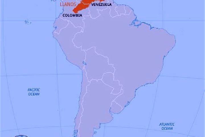 Abigail, 38 — Escort in Pueblo Llano, Venezuela