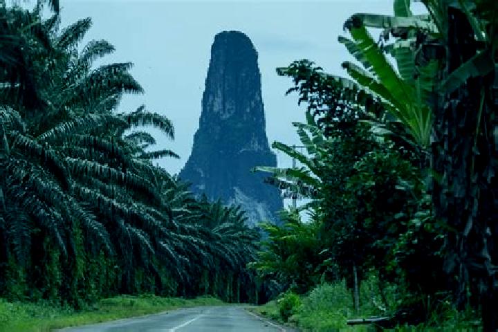 Abigail, 38 — Escort in Sao Joao dos Angolares, Sao Tome and Principe