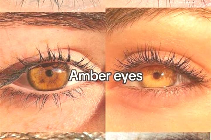 Abigail, 39, a brunette amber-eyed caribbean companion based in Pago Pago. Offering Massage, GFE, Duos, Striptease, Fetish. Available for incall and outcall,...