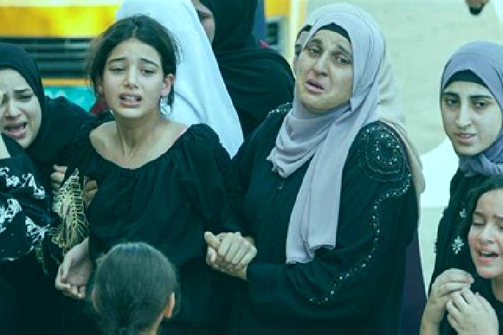 Abigail, 39 — Escort in Kafr Dan, Palestine