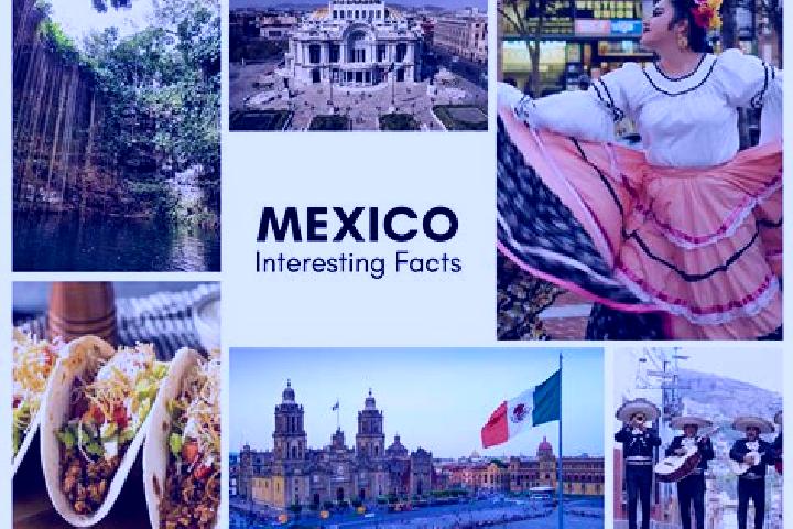 Addison, 20 — Escort in Quimichis, Mexico