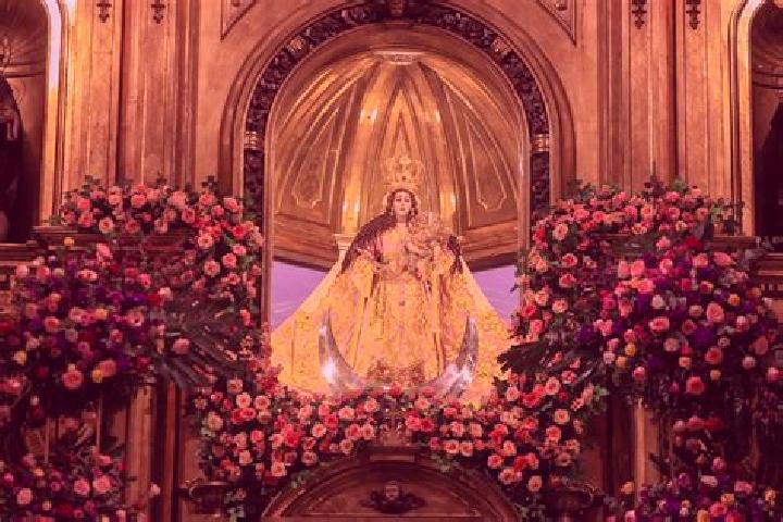 Addison, 20 — Escort in Santo Domingo de Guzman, Mexico