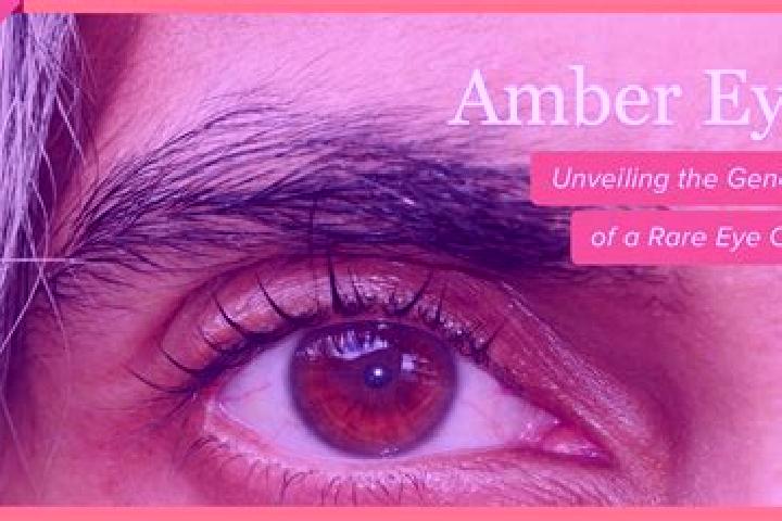 Addison, 21, a red amber-eyed caucasian companion based in Pertusio. Offering 69, GFE, Striptease, Girlfriend Experience, A-Level. Available for incall and o...