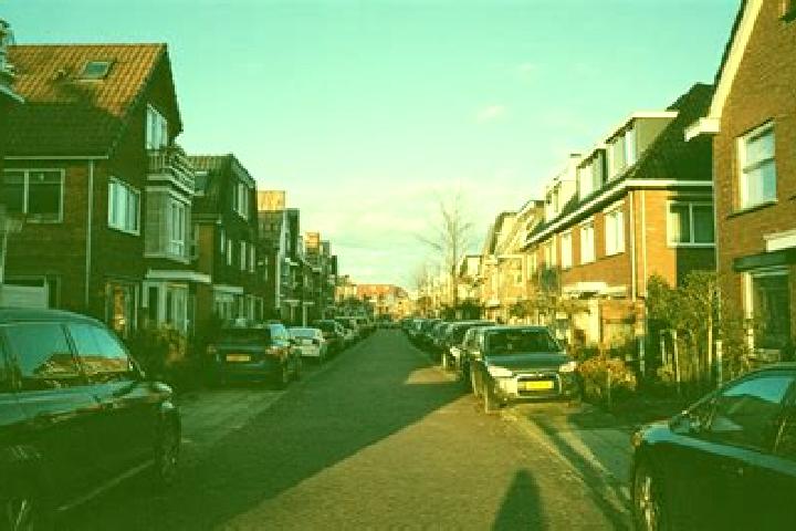 Addison, 21 — Escort in Kruisstraat, Netherlands