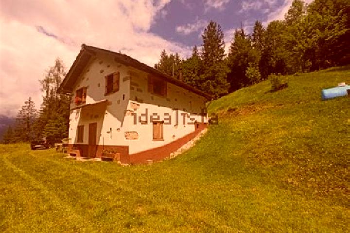 Addison, 21 — Escort in Laggio di Cadore, Italy