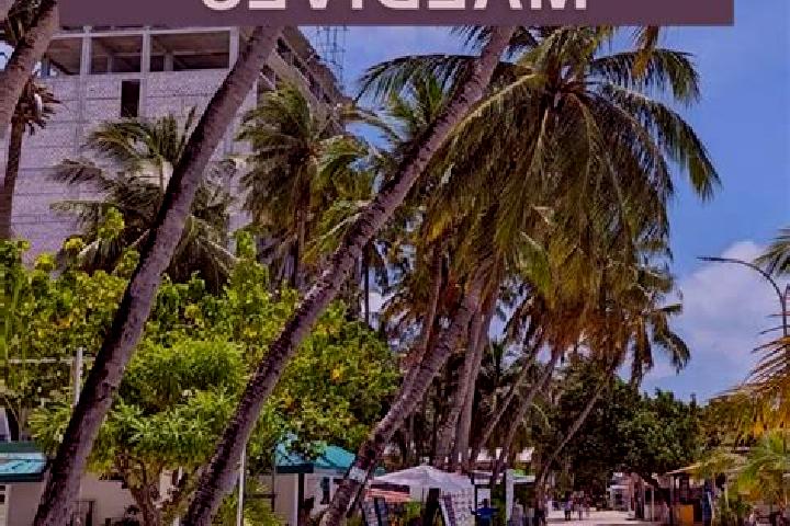 Addison, 21 — Escort in Maafushi, Maldives