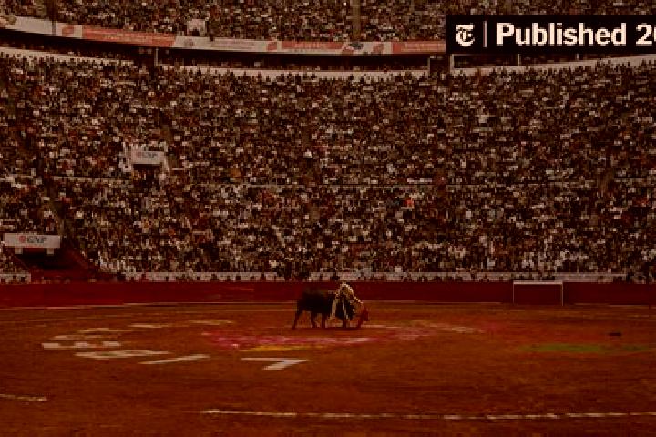 Addison, 21 — Escort in Toreo Bajo (El Toreo Bajo), Mexico