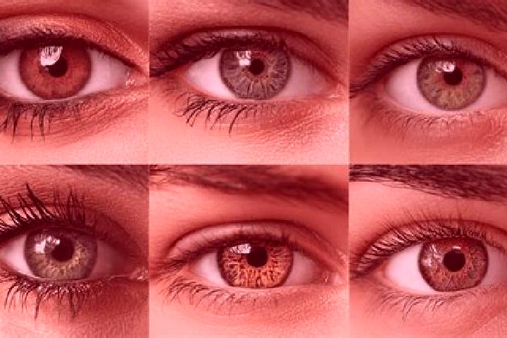 Addison, 22, a auburn hazel-eyed middle eastern companion based in Sardoal. Offering Domination, Tantra, Overnight. Available for incall and outcall, day and...