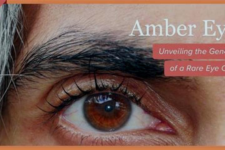 Addison, 22, a black amber-eyed slavic companion based in San Sebastian del Salitre. Offering Overnight, Striptease, 69, Deep French Kissing. Available for i...