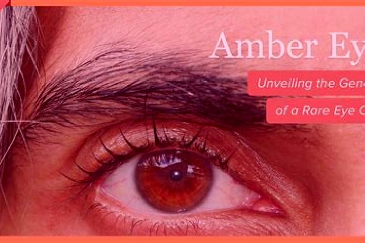 Addison, 22, a red amber-eyed ebony companion based in Caotan. Offering Striptease, Deep French Kissing, Fetish. Available for incall and outcall, overnight ...