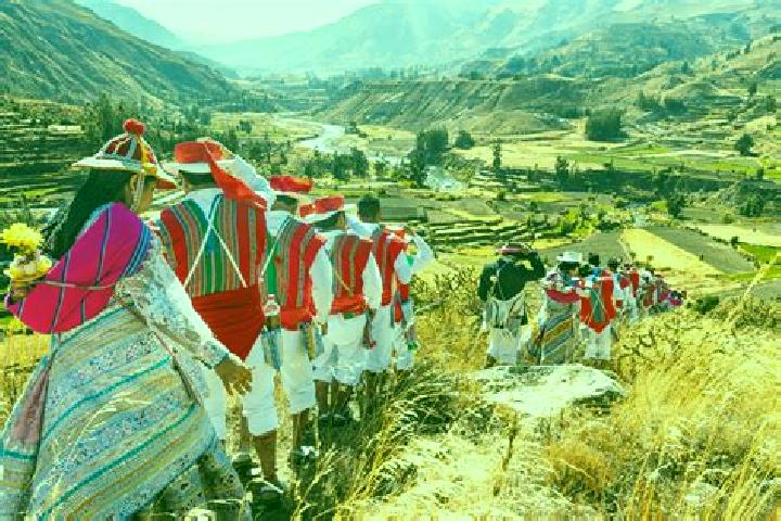 Addison, 22 — Escort in Caylloma, Peru