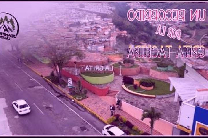 Addison, 22 — Escort in La Grita, Venezuela
