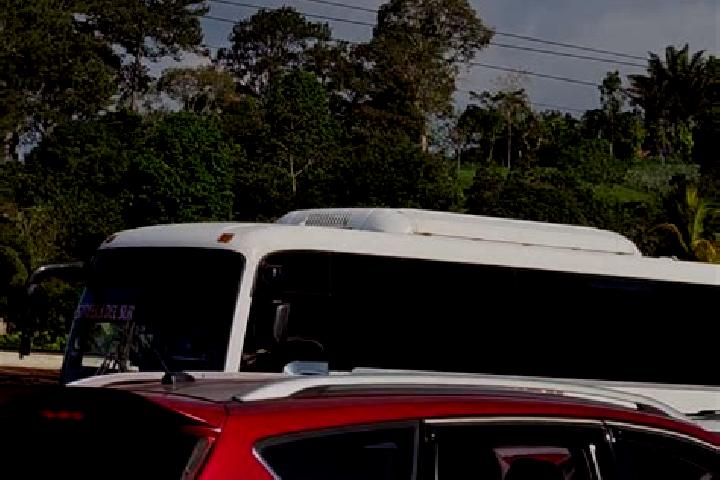 Addison, 22 — Escort in La Guama, Honduras