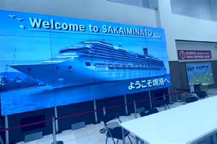 Addison, 22 — Escort in Sakaiminato, Japan