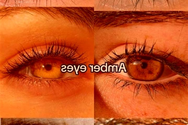 Addison, 23, a chestnut amber-eyed mediterranean companion based in Zinkovy. Offering CIM, Striptease, OWO, Prostate Massage, BDSM. Available for incall and ...
