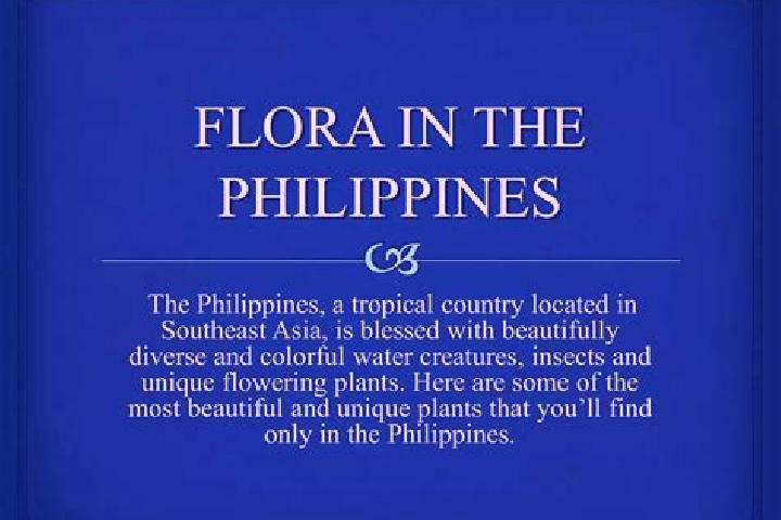 Addison, 23 — Escort in Flora, Philippines