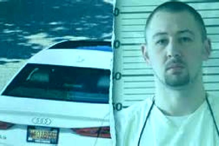 Addison, 23 — Escort in Minor Hill, United States