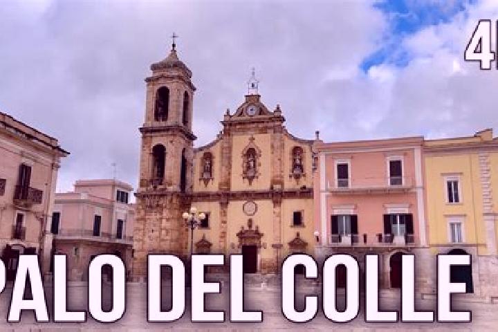 Addison, 23 — Escort in Palo del Colle, Italy