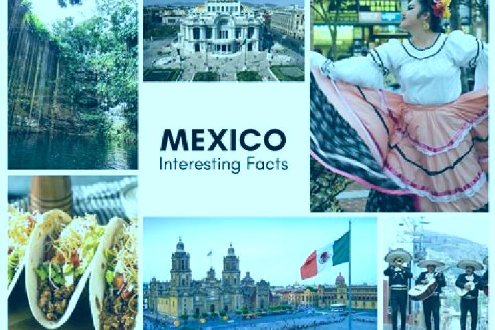 Addison, 23 — Escort in Tagui, Mexico