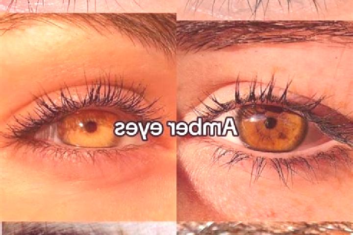 Addison, 24, a chestnut amber-eyed caucasian companion based in Sopotnice. Offering 69, Domination, Girlfriend Experience, Striptease. Available for incall a...