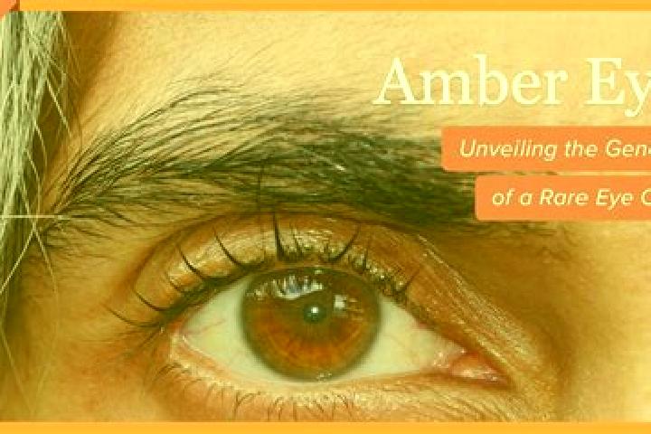 Addison, 24, a red amber-eyed mediterranean companion based in Roden. Offering Dinner Date, Couples, 69, Domination, Tantra. Available for incall and outcall...