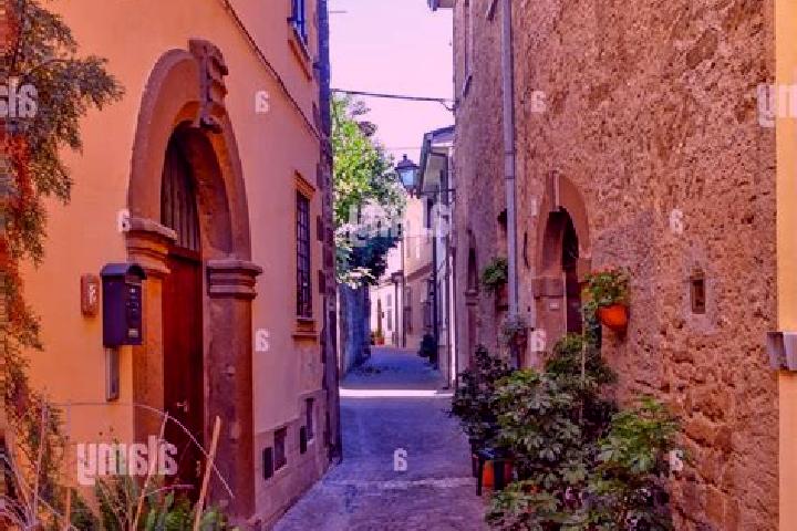 Addison, 24 — Escort in Arnara, Italy