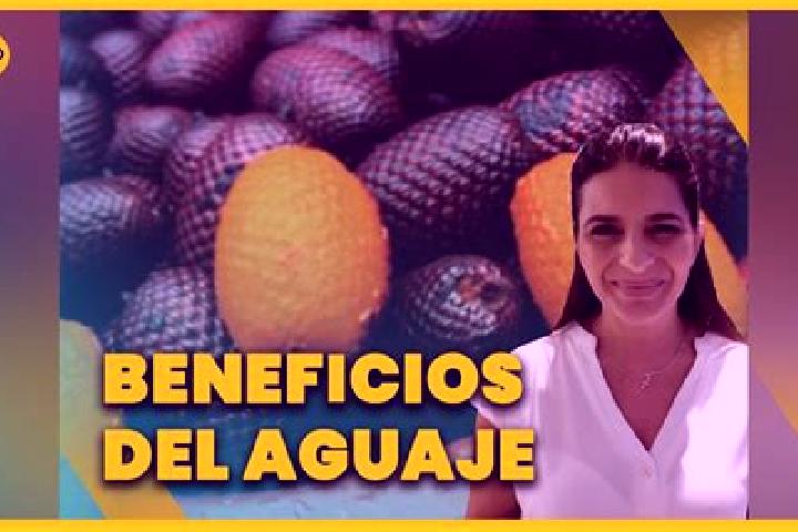 Addison, 24 — Escort in Los Aguajes, Mexico