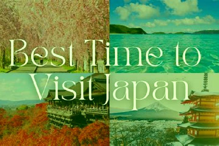 Addison, 24 — Escort in Rinkan, Japan
