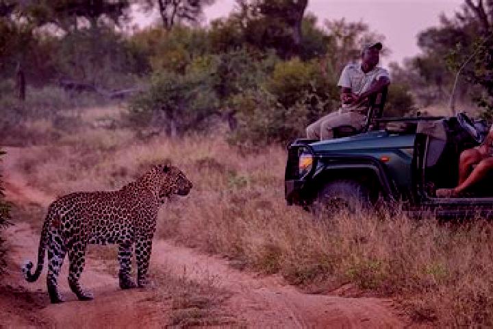 Addison, 24 — Escort in Sabi-Sand Game Reserve, South Africa