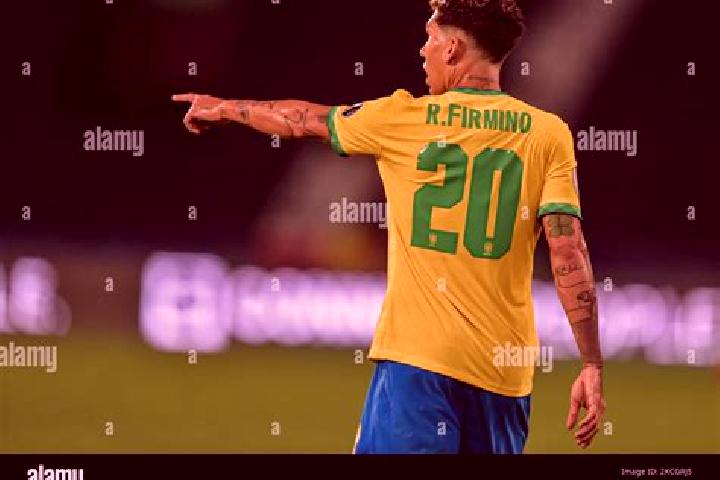 Addison, 24 — Escort in Senador Firmino, Brazil
