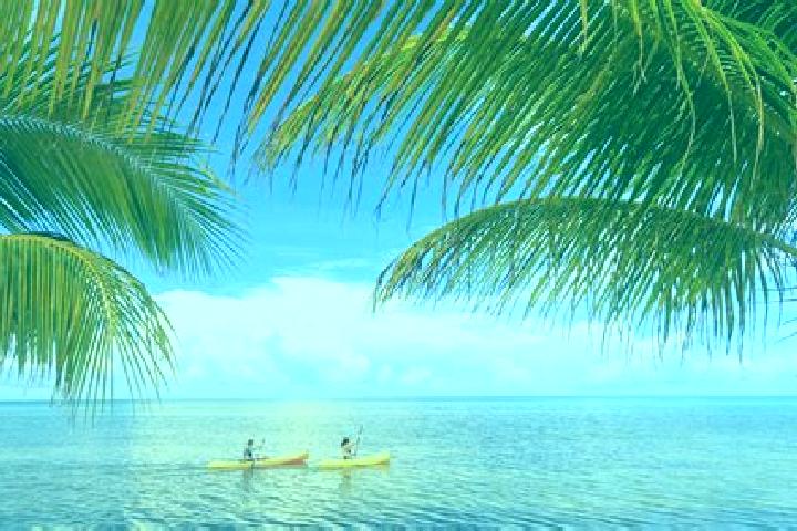 Addison, 24 — Escort in Western Paradise, Belize