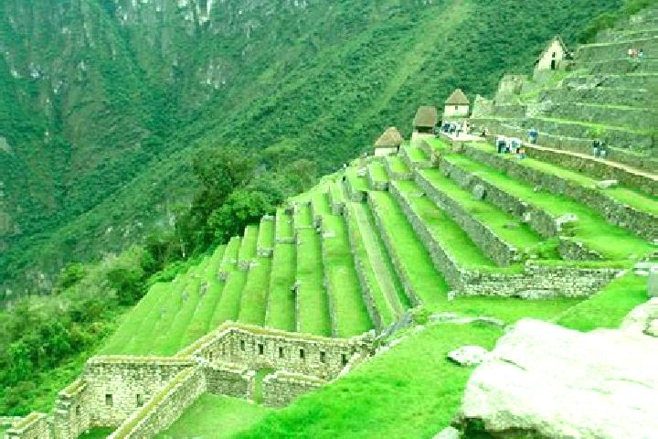 Addison, 24 — Escort in Yaurisque, Peru