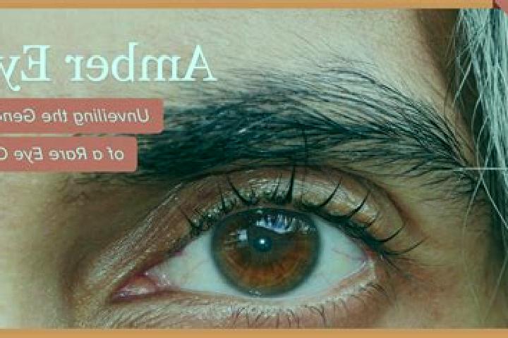 Addison, 25, a red amber-eyed middle eastern companion based in Veternik. Offering Girlfriend Experience, GFE, Duos, CIM. Available for incall and outcall, o...