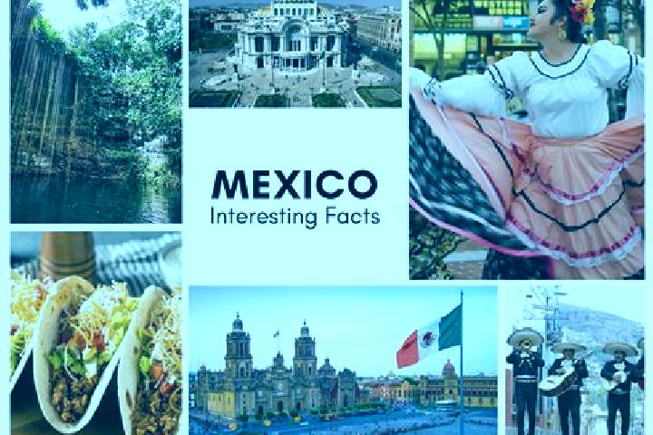 Addison, 25 — Escort in Mexiquito, Mexico