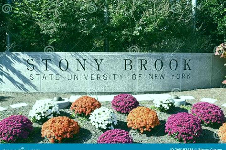 Addison, 25 — Escort in Stony Brook, United States