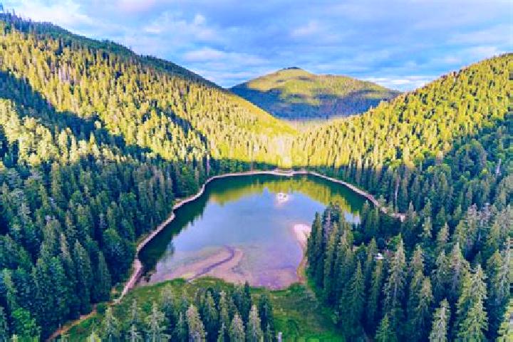 Addison, 25 — Escort in Synevyr, Ukraine
