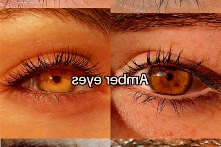 Addison, 26, a brunette amber-eyed slavic companion based in Imielno. Offering Massage, GFE, Striptease, BDSM, A-Level. Available for incall and outcall, day...