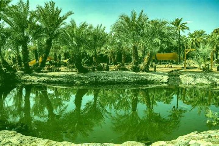 Addison, 26 — Escort in Al Qatif, Saudi Arabia