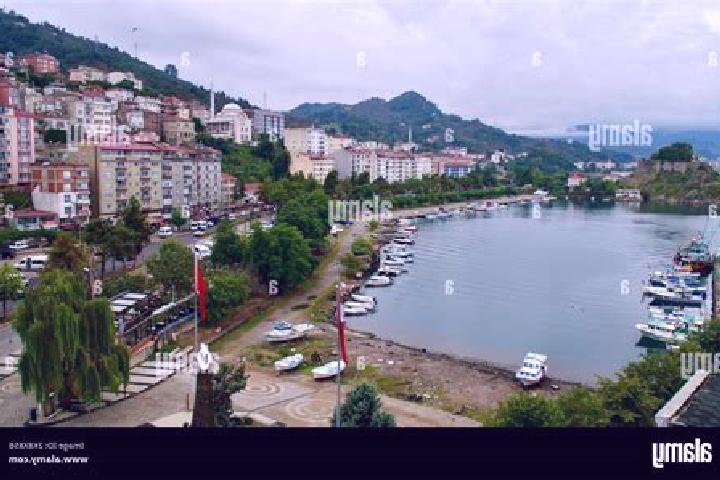 Addison, 26 — Escort in Tirebolu, Turkey
